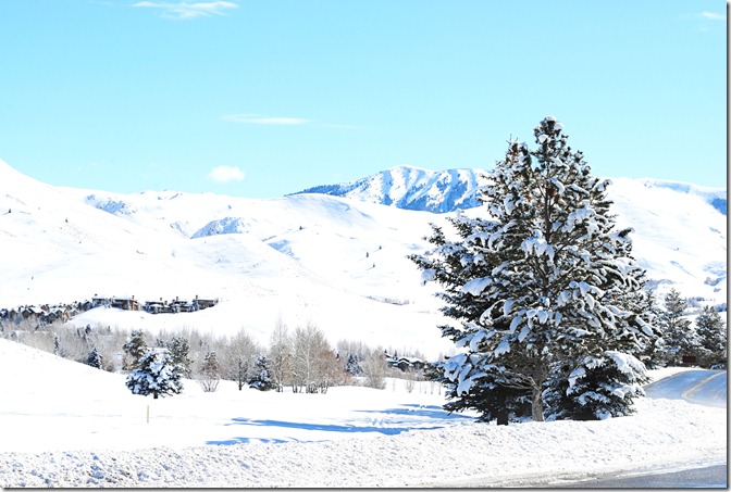 snow_4