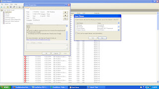 unhandled exception from .Net Runtime Framework