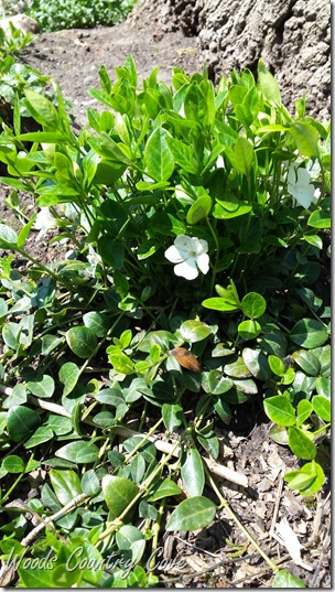 20170430_135946