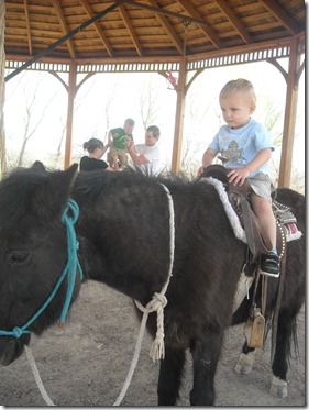 Pony Ride