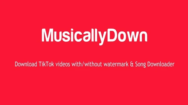 Cara Download TikTok Tanpa Watermark di iPhone