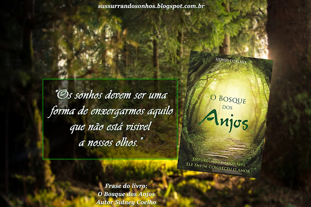 https://sussurrandosonhos.blogspot.com/2018/01/resenha-o-bosque-dos-anjos-sidney-coelho.html