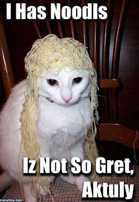 A cat wearing noodles