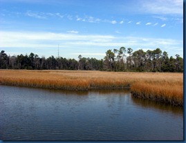 DavisBayou,MS (1)