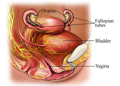 Symptoms Of Ovarian Cancer In Women