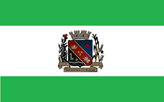 Bandeira de Patrocínio do Muriaé MG