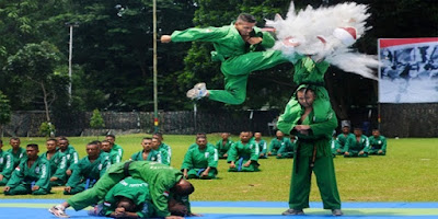 Beladiri Wajib Prajurit TNI AD Indonesia , Yong Moo Do Martial Art