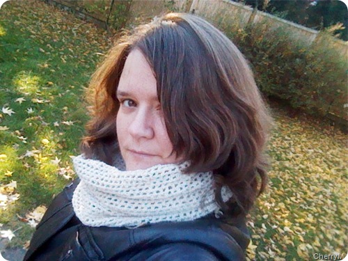 2012-10-27 15.24.41