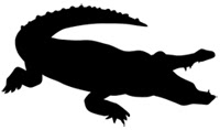 Alligator silhouette