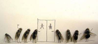 dead flies art