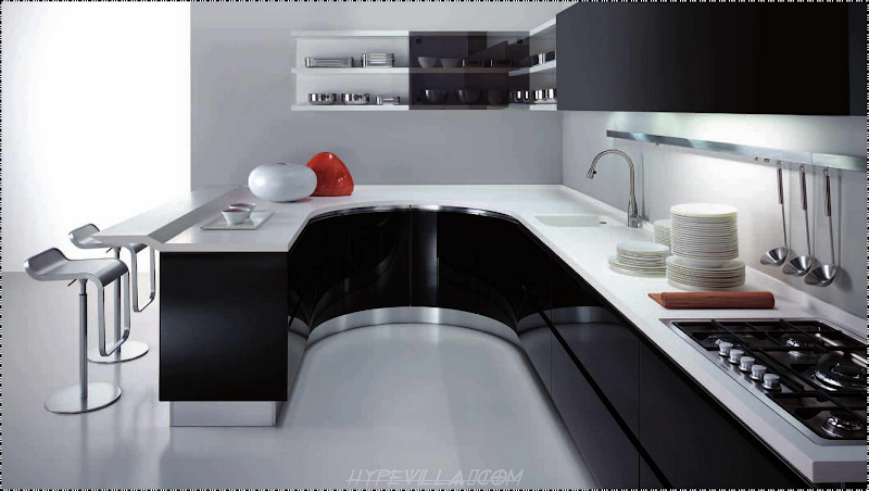 Modern Black and White Kitchen Design title=