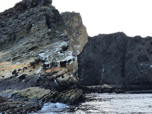 Punta Vicente Roca, Isla Isabela, Islas Galápagos