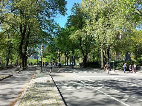 Running in Central Park NYC