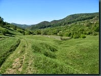 DSCN9093