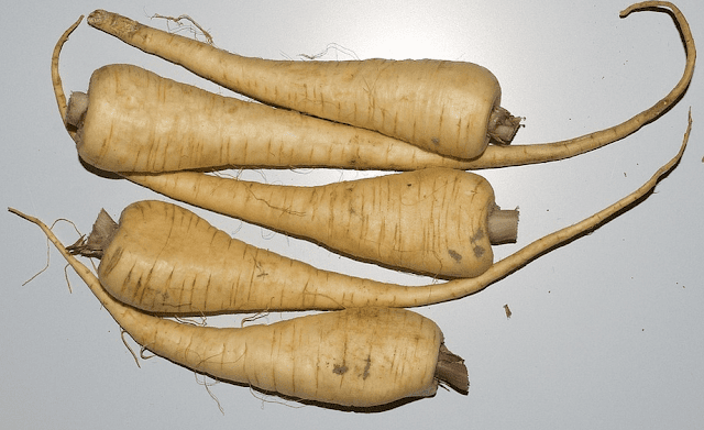 Las pastinacas,contienen más materia sólida que las remolachas o las zanahorias