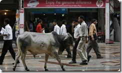 india-47