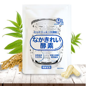 日本發酵生活酵素哪裡買