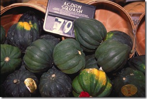 Acornsquash[1]