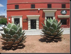 Oaxaca