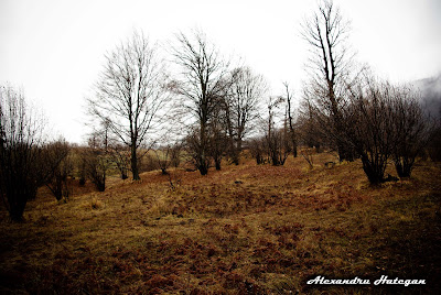 tirgu mures, azomures, toamna, iarna, munci, apuseni, apus, ploaie,  zapada, alb, gard, tara, X,   cabana, singuratate, poze,  fotografii,  Alexandru hategan