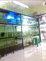 42+ Top Populer Jual Rak Aquarium Tangerang