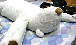 japonlar robot ayı geliştirdi