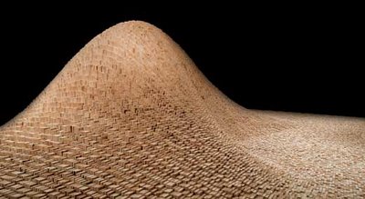 Maya Lin: systematic landscapes