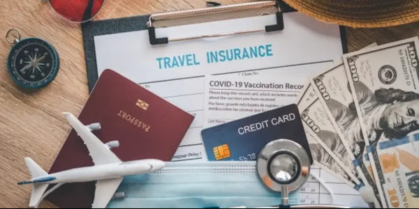 What is Travel Insurance ?