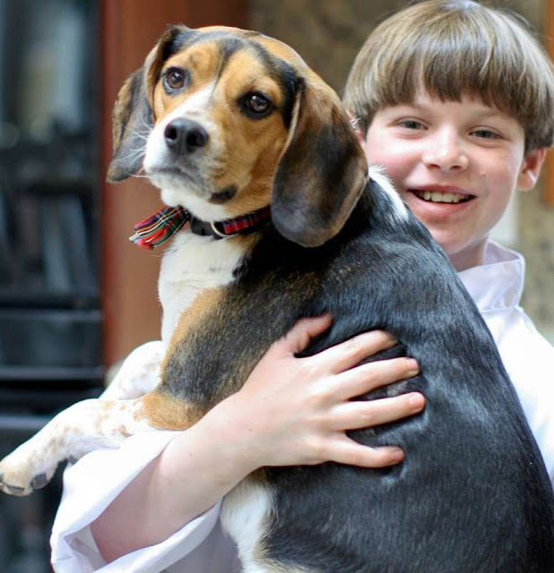    Empreendedor de 10 Anos Cria Biscoitos Para Seu Cão e Faz Sucesso