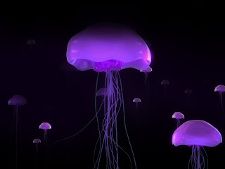 Jellyfish Wallpapers