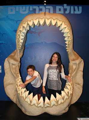 Planet Shark Exhibition