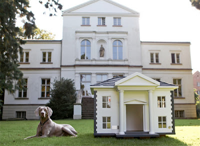 Amazing houses for dogs