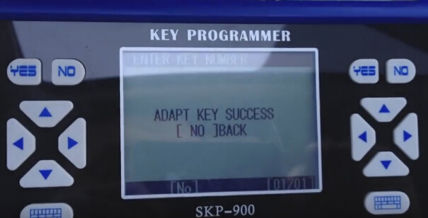 program success