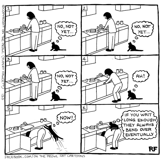 © 2022, Rupert Fawcett, On The Prowl Cat Cartoons, Used by Permission