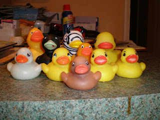 Just 10 of the rubber ducks in my collection... lol