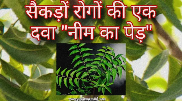 neem ke fayde