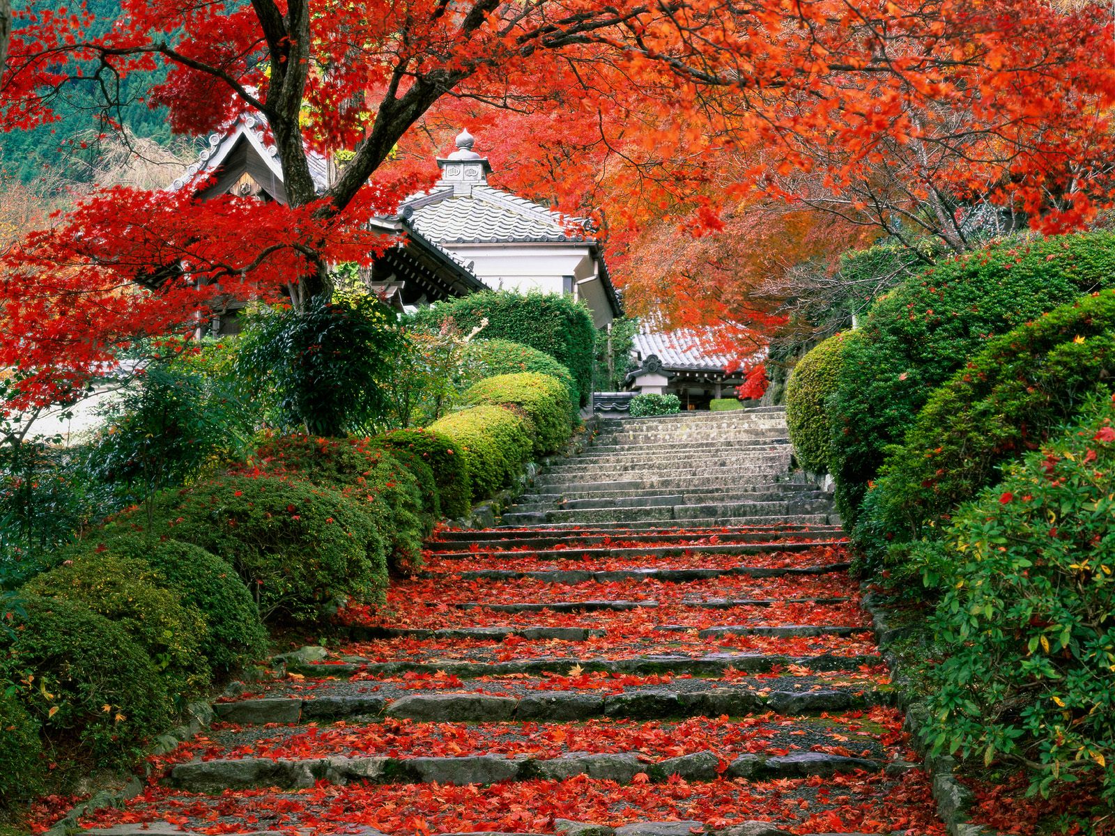 Japanese garden design