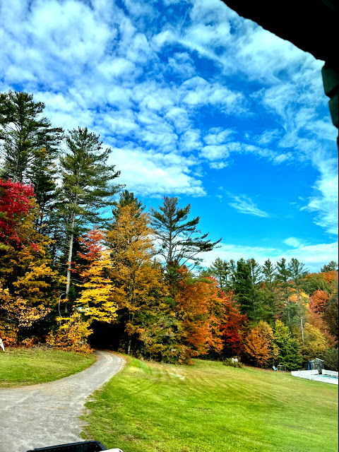 Vermont Fall Foliage. Share NOW. #fallfoliage #fall #Vermont #foliage #eclecticredbarn