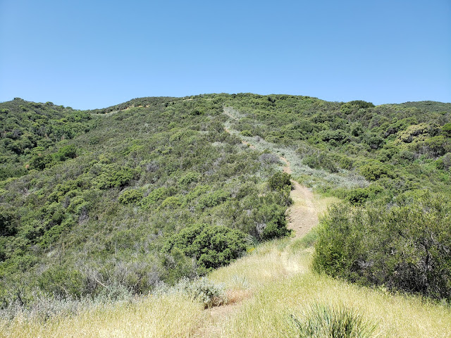 Lower Whitaker Peak Trail