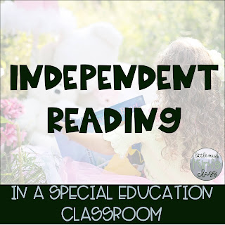 Independent Reading in Special Education