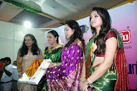 Trisha, In, A, Silk, Saree