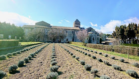 Monastère de Saint Paul Mausole Saint rémy de Provence