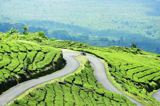 tempat liburan murah di Bengkulu,seru,indah dan menarik