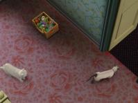 catstory2-5.jpg