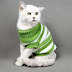 Οι γάτες χρειάζονται πουλόβερ;