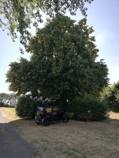 Austin Seven RP De Luxe - Summer 2023 - Seven in the shade