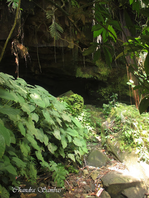 Air Terjun Simanik-Manik Alam Tani