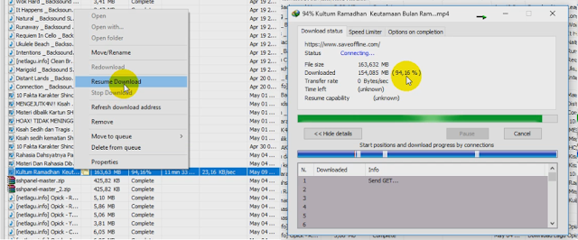 Melanjutkan download yang terhenti di idm