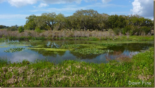 Kapock park Clearwater_022