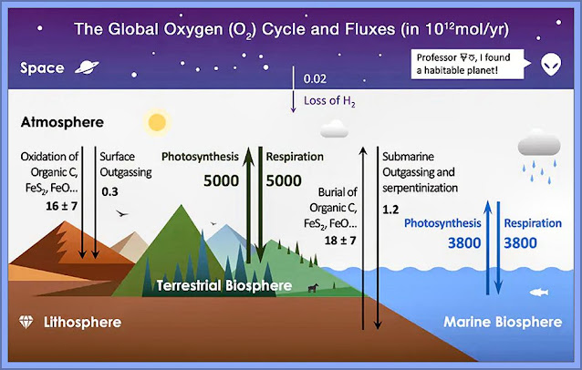 Oxygen Levels Earth Are Governed By The Lithosphere